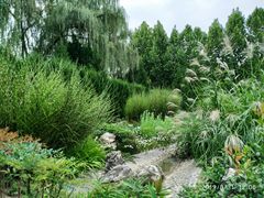 -宝鸡植物园
