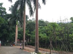 -田心森林公园