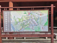 -彩色沙林风景区