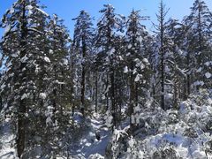 -瓦屋山景区