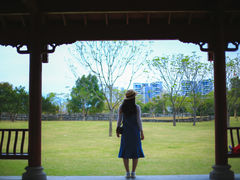 -聚龙山公园