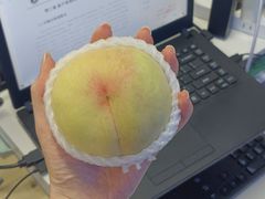 -江南大学(蠡湖校区)