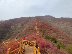 -水峪民俗村
