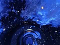 -吉林市博物馆