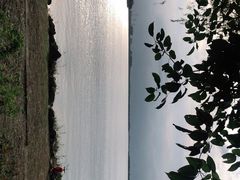 -漕湖湿地公园