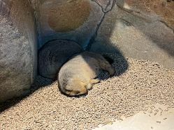 -酷嗒动物文化乐园(cutezoo西溪乐天城店)