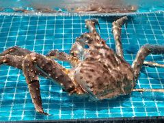 -狮伙海鲜捞(千灯湖店)
