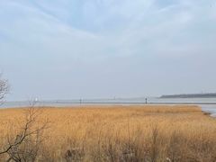 -上海吴淞炮台湾国家湿地公园