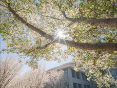 -东南大学(九龙湖校区)