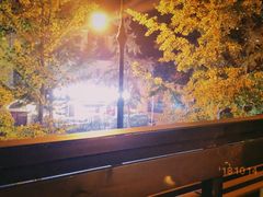 -LAMP BAR 水烟音乐酒吧