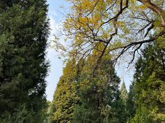 -天坛公园