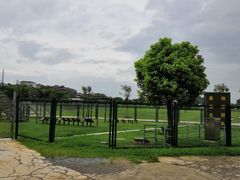 -大金山风景区