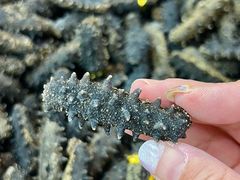 -大连双兴商品城