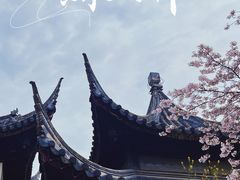 -苏州上方山国家森林公园