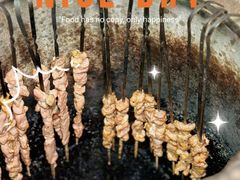 -陈记农家挂炉烤肉(雁南一路店)