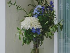 -悟白咖啡WoobyCafe