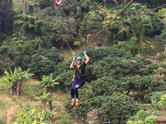 -清迈丛林飞跃 JungleFlight