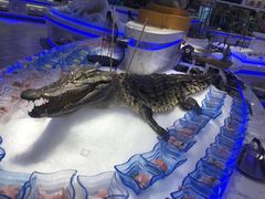 -澜悦港海鲜体验主题餐厅