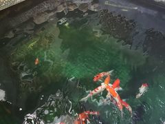 门面-阿多私房菜(顺德店)