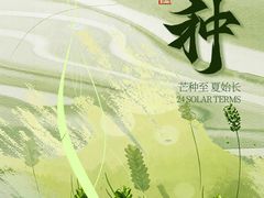 -野菌王牦牛肉汤锅