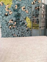 -星豆豆儿童摄影(南郊太白南路店)