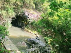 -宁波市保国寺古建筑博物馆