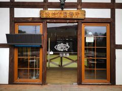 -金山农民画村-枫泾波兰倒置屋