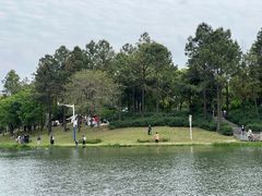 -美兰湖景区