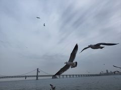 -星海广场