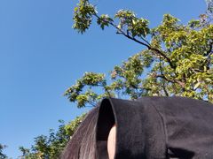 -四海公园(南山区)