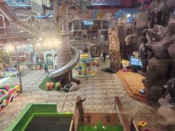 -卡通尼·Safari非洲探索乐园·生日会(金桥国际商业广场店)