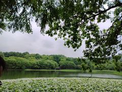 -茅家埠