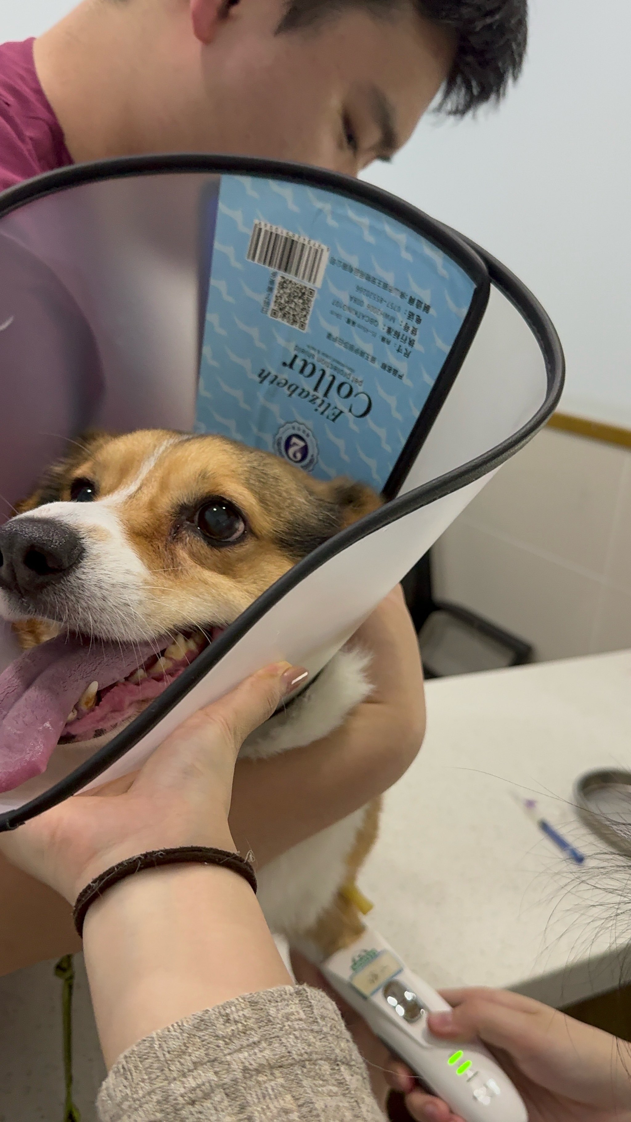 艾贝尔宠物医院·圣安