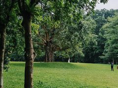 -深圳仙湖植物园