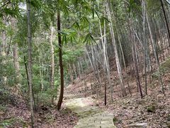 -广州市石门国家森林公园