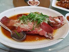 清蒸东星斑-新灿记大酒楼