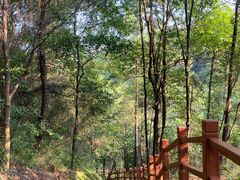 -广州白江湖森林公园