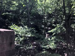 -苍岩山风景名胜区