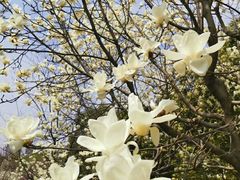 -白塘生态植物园