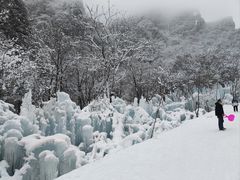 -青峰峡国家森林公园
