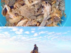 -巧克力渔家.小船海鲜胶东菜(万平口店)