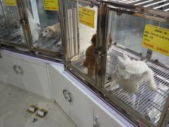 -1013 PET SHOP 宠物商店(近铁城市广场店)