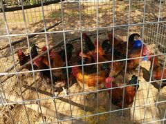 -水库活鱼馆(于桥水库店)