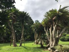 -中国科学院西双版纳热带植物园