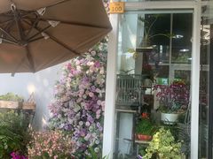 -FEI FEI FLOWER鲜花店·气球派对·宝宝宴布置(虹口德必运动Loft店)
