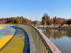 -春花秋色城市公园