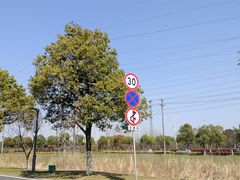-漕湖湿地公园