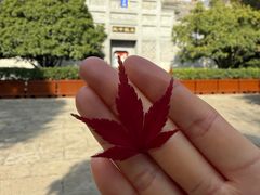 -习家池
