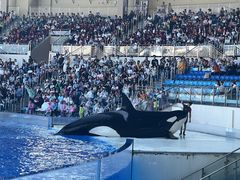 -上海海昌海洋公园