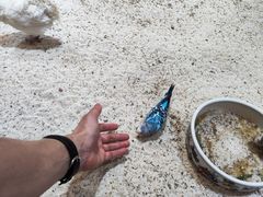 -上海大自然野生昆虫馆